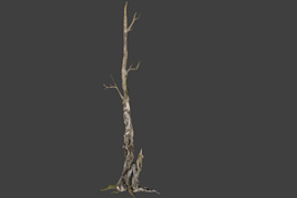 !tree_02big