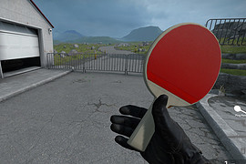 Ping Pong