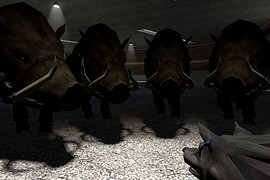Animal Pack V1