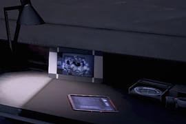 Empty Frame on Shepard's Desk (v.1)
