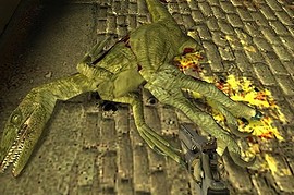 Raptor For Fast Zombie