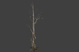 tree_01