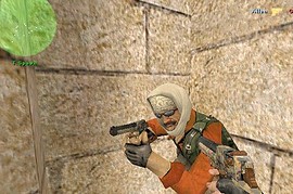 Desert Camouflaged Deagle