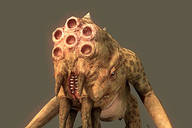 Operation Black Mesa
