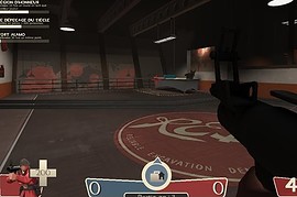 zf_fort_b1