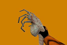Alien's facehugger