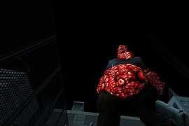 G-Mutated Boomer
