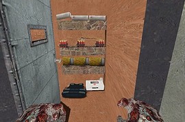 zps_abandoned_cottege_b1
