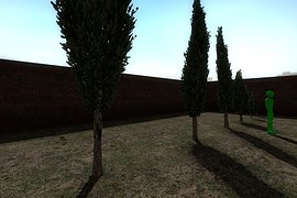 Кипарис