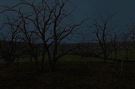 Zs_Infected_Forrest