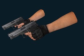 Sig Sauer P226 Customs
