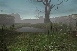 dm_swamp