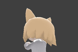 NECO ARC
