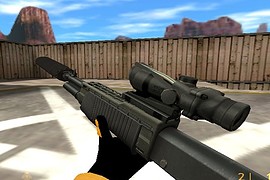 Custom SPAS-12