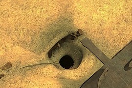 Gm_sarlacc