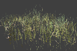 grass_pack_big2