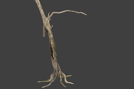 !tree_06