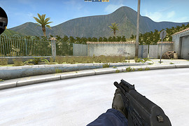 Saiga-12K