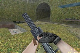 Stalker pkm