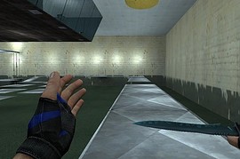 Blue_tiger_gloves