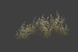 grass_pack1_aref
