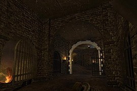 dm_down_there