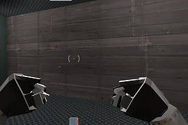 Robotic View Models