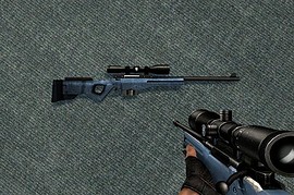 Winter Awp