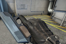 Pistol