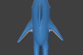 Shark