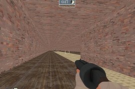 Race_for_the_point