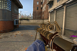 DSR1