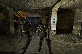 Call of Duty Nazi Zombie