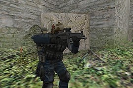 Dog Soldiers MP5
