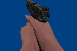 Sig Sauer P226 X-Five