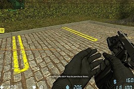 Two Gun
