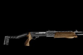 SPAS-12 Wood stock