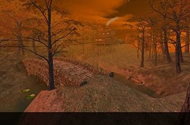 aim_amwoods