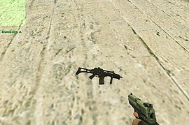 G36C with EO-tech