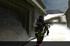 Jungle Camo Phoenix Skin