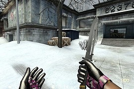 Chrono_and_Kamy_s_King_Cobra