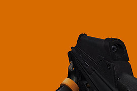 FN 2000