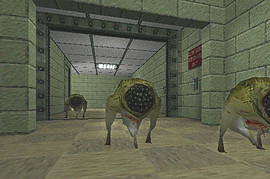 Half-Life Beta Screenshots