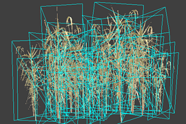 reed_02