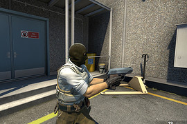 Pistol