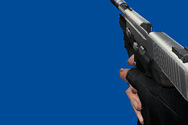 SIG P226 Two Toned