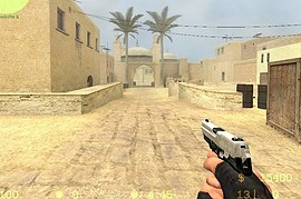 P288 Reskin