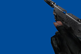 SIGARMS P226