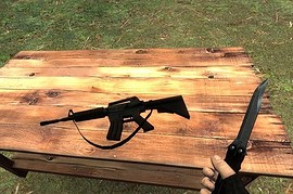 Assassin_M4A1