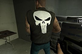 Punisher francis